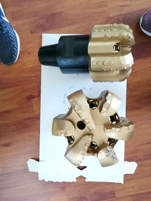 8" brocas de base de Pdc de 5 alas para la perforación y la explotación minera del petróleo y del gas